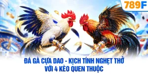Đá Gà Cựa Dao - Kịch Tính Nghẹt Thở Với 4 Kèo Quen Thuộc