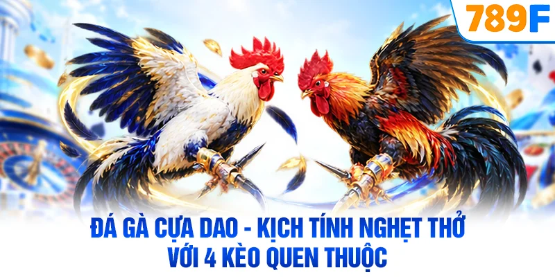Đá Gà Cựa Dao - Kịch Tính Nghẹt Thở Với 4 Kèo Quen Thuộc
