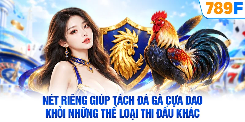 Nét riêng giúp tách đá gà cựa dao khỏi những thể loại thi đấu khác