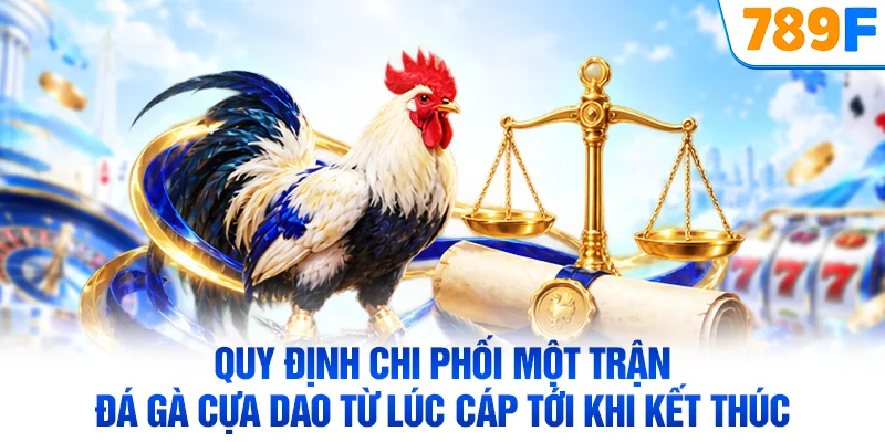 Quy định chi phối một trận đá gà cựa dao từ lúc cáp tới khi kết thúc