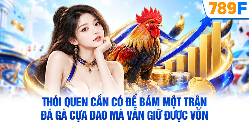 Thói quen cần có để bám một trận đá gà cựa dao mà vẫn giữ được vốn
